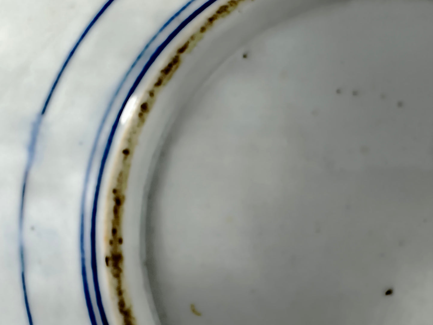 Antique Japanese 19th Century Imari Ceramic Plate Blue & White Flora & Fauna 10.5"