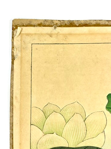 Original Nishimura Hodo Woodblock Print Pink "Lotus Flowers" 1938 11x16"