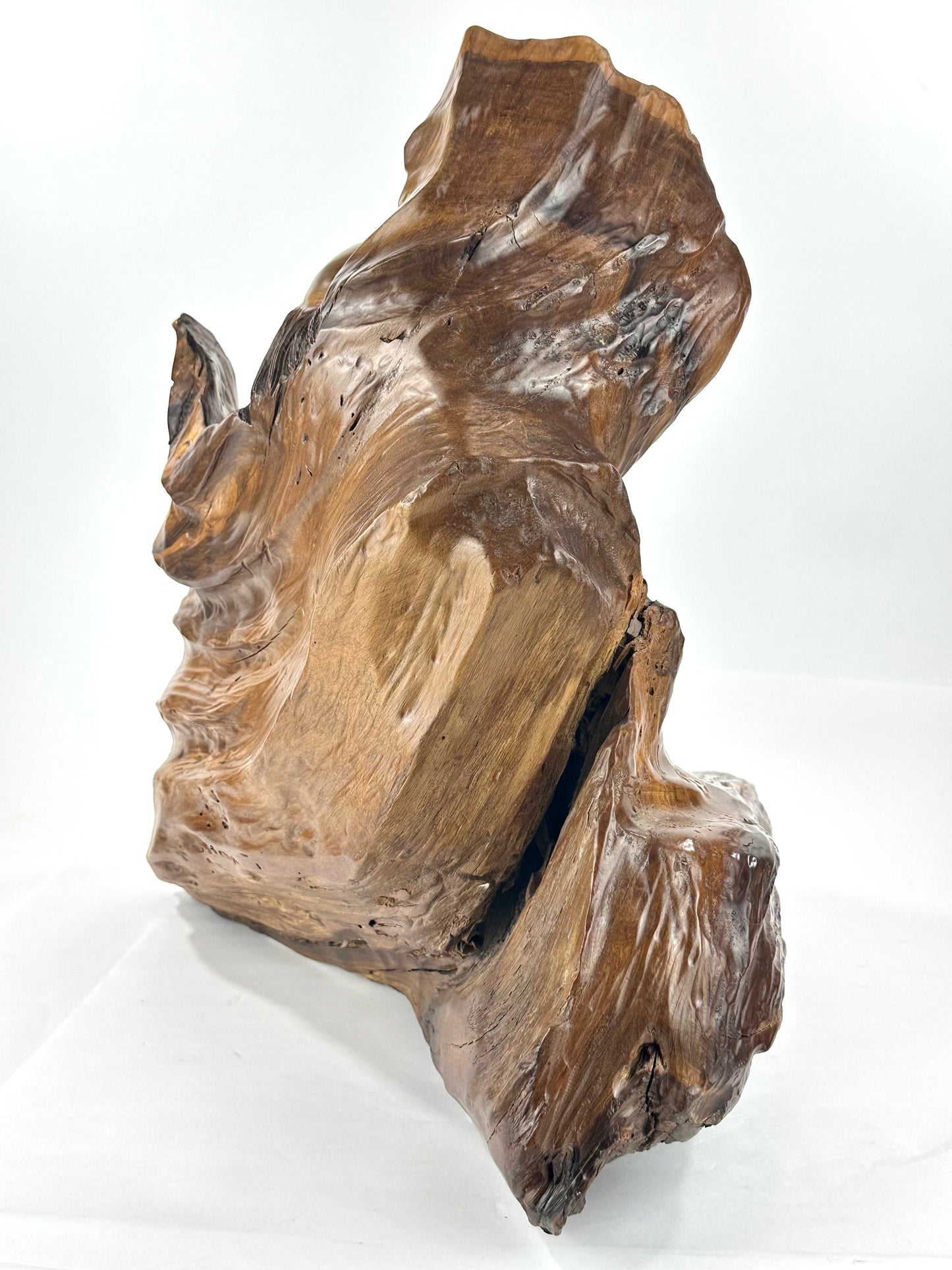 Japanese Showa Era Sugi Wood Carved Daruma Bodhidharma Sculpture Root Wood Base 17"H LS#089