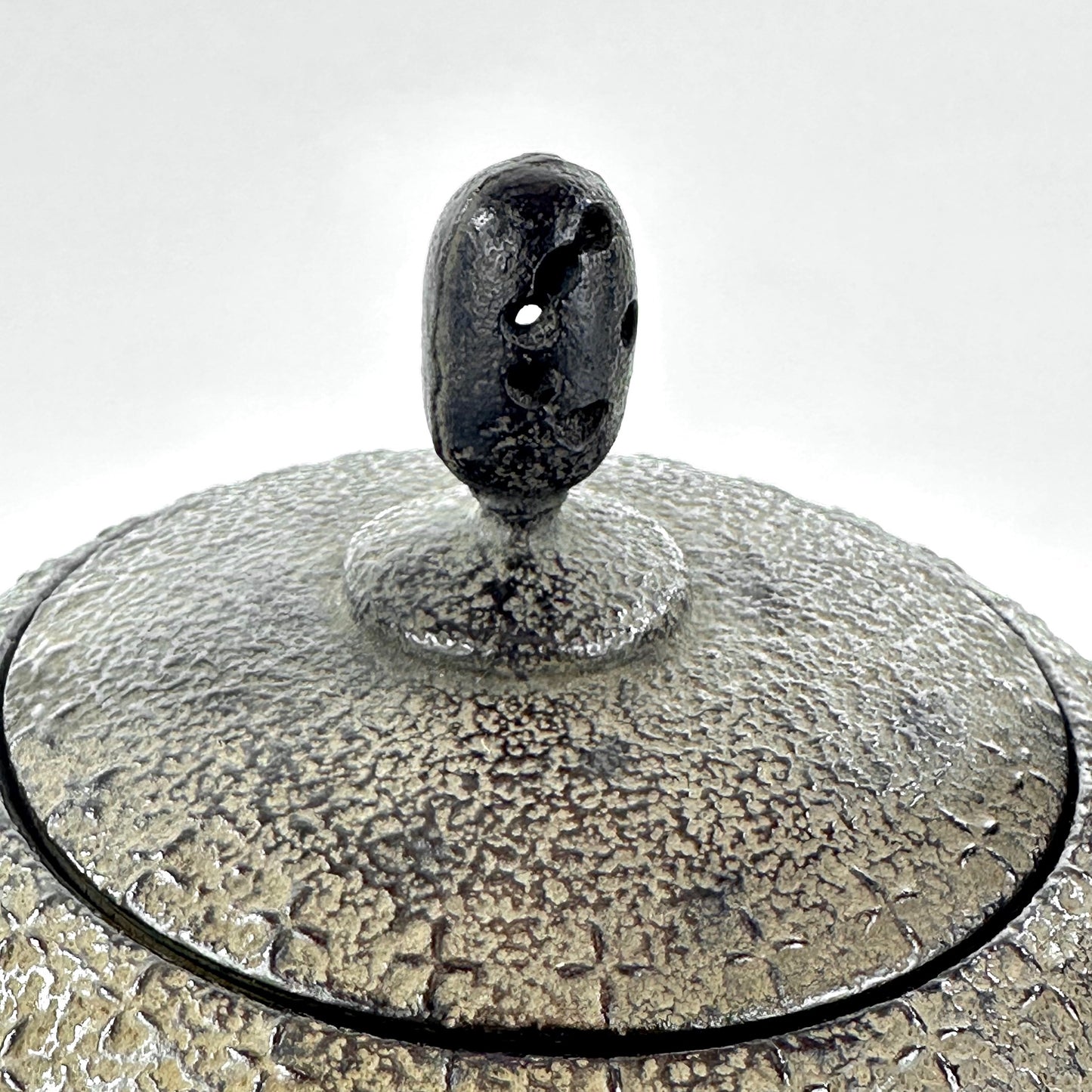 Modern Japanese Cast Iron Tetsubin