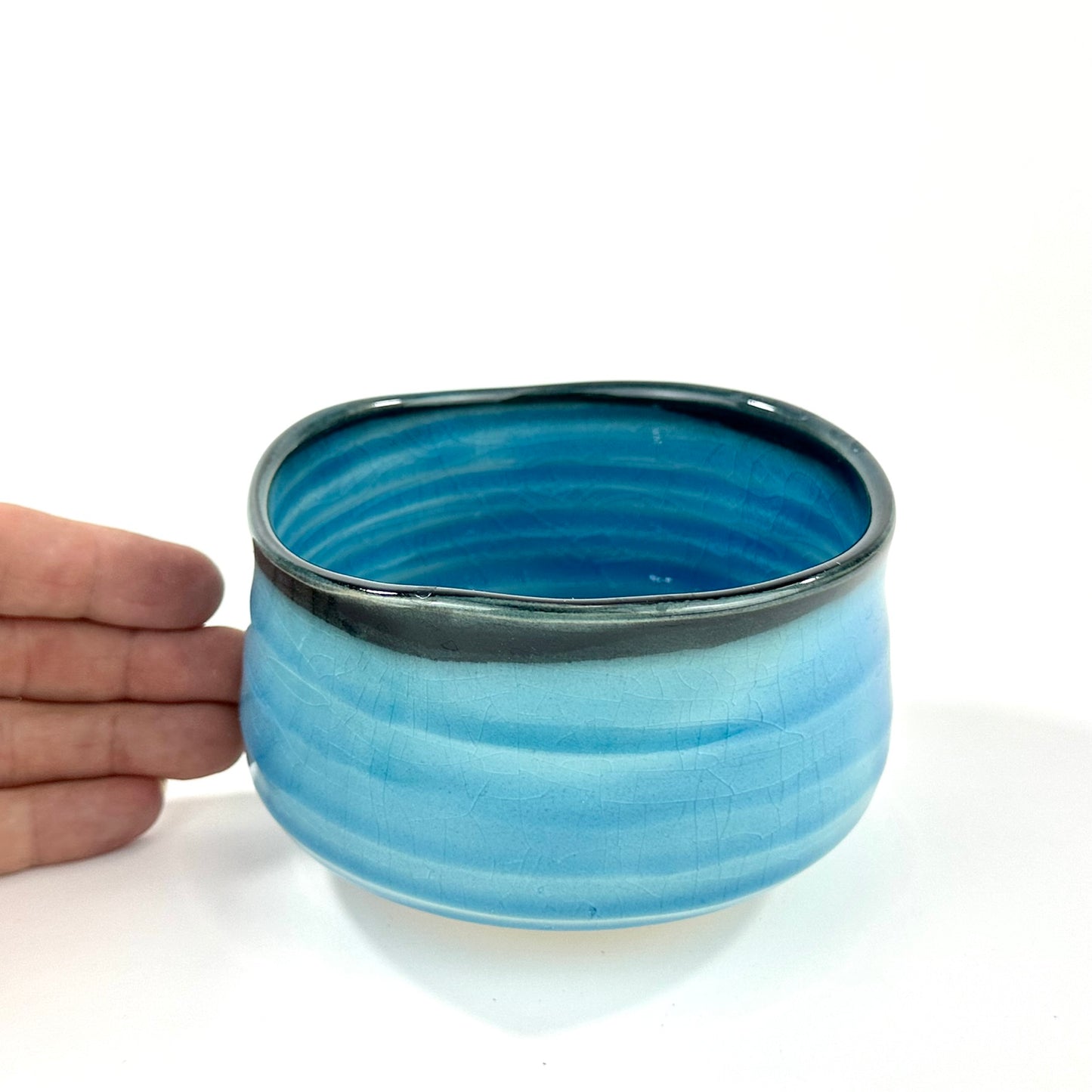 Japanese Mino Ware Chawan Matcha Tea Bowl Sky Blue Glaze Black Rim Kannyu NEW 5"