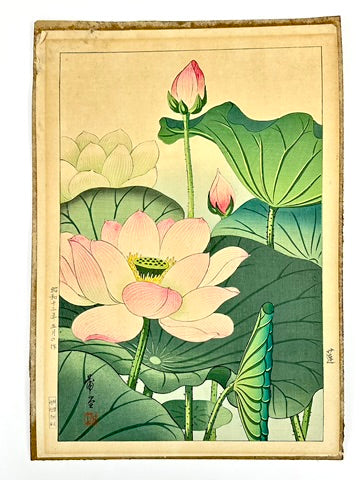 Original Nishimura Hodo Woodblock Print Pink "Lotus Flowers" 1938 11x16"