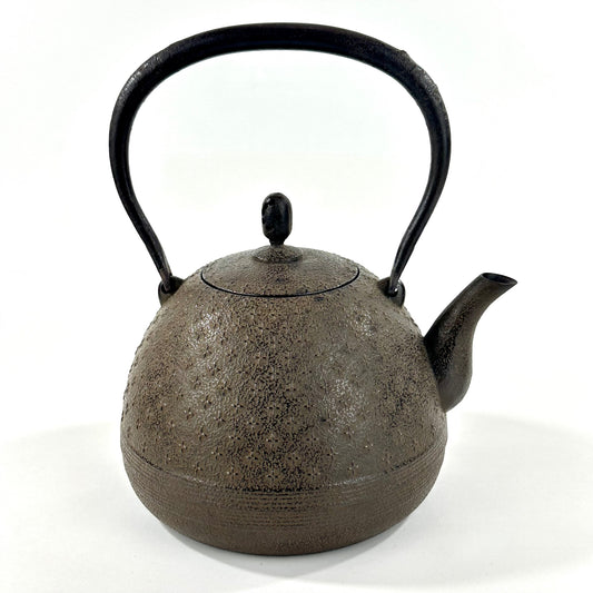 Modern Japanese Cast Iron Tetsubin