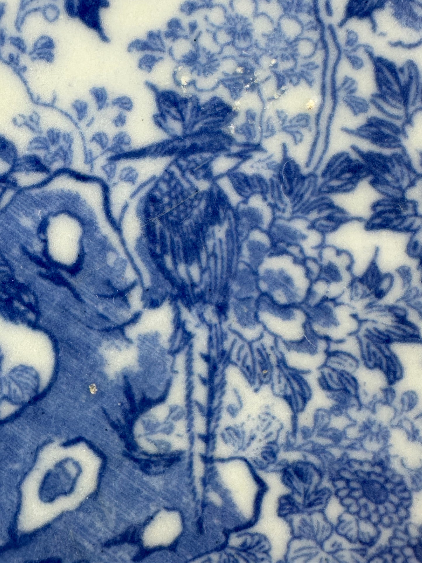 Antique Japanese 19th Century Imari Ceramic Plate Blue & White Flora & Fauna 10.5"