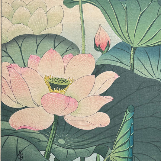 Original Nishimura Hodo Woodblock Print Pink "Lotus Flowers" 1938