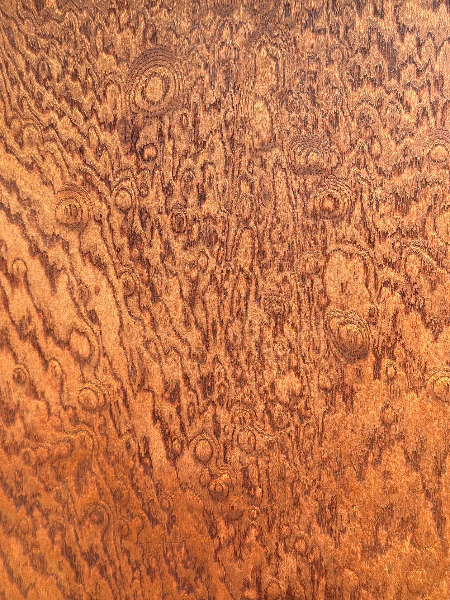 Rare Antique Japanese Keyaki Chadansu c1937 Cabinet Carved Crane & Turtle Finials Persimmon Trim 36"W