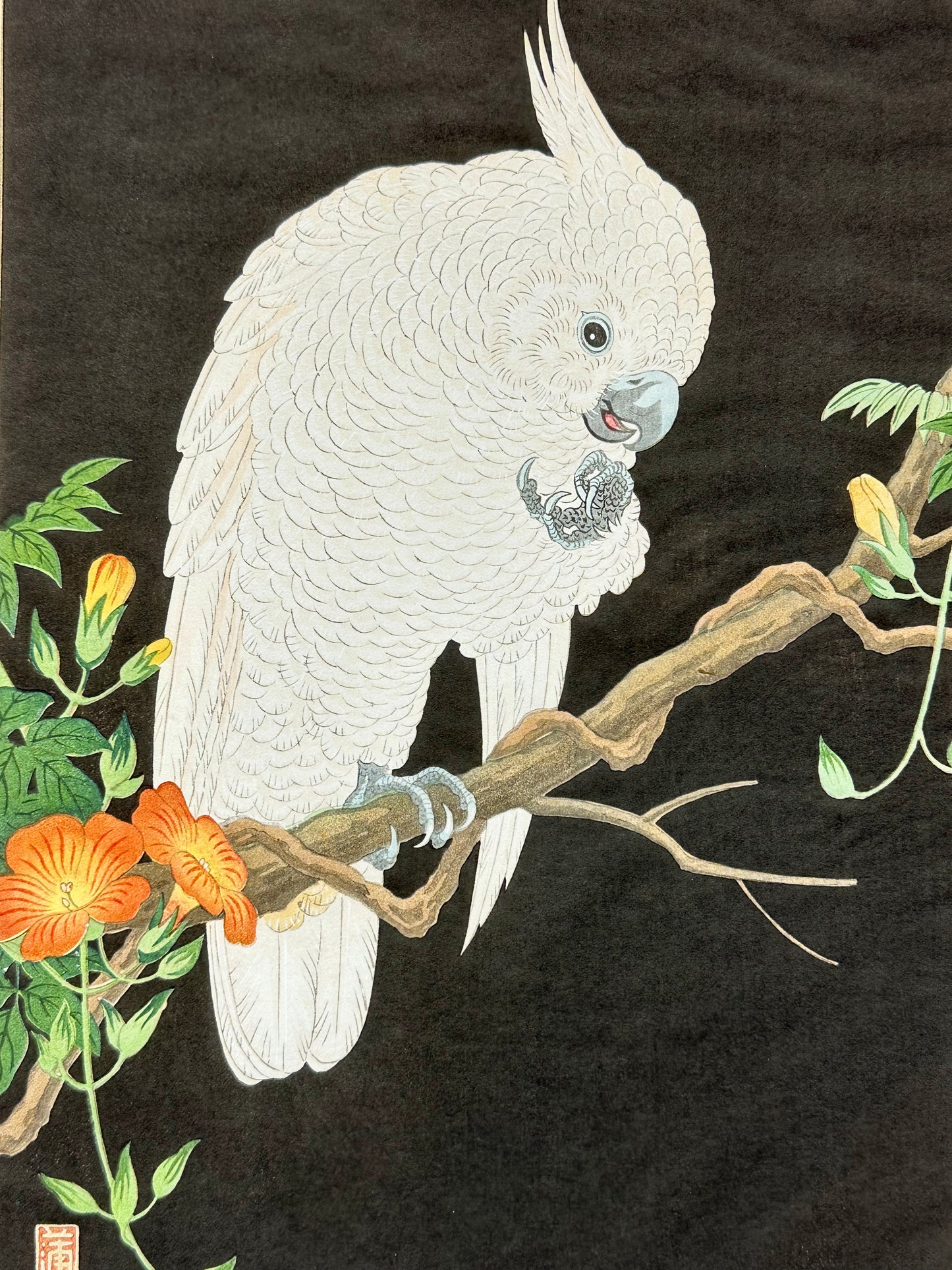 Nishimura Hodo Giclee Woodblock Print Cockatoo Oumo Ukiyoe 10.5"x15.5"