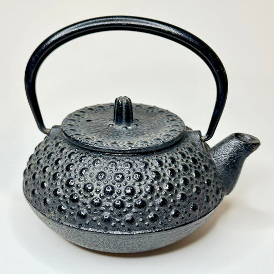 Vintage Japanese Mini Iron Tea Kettle Tetsubin Enamel Lined Interior 4.5"