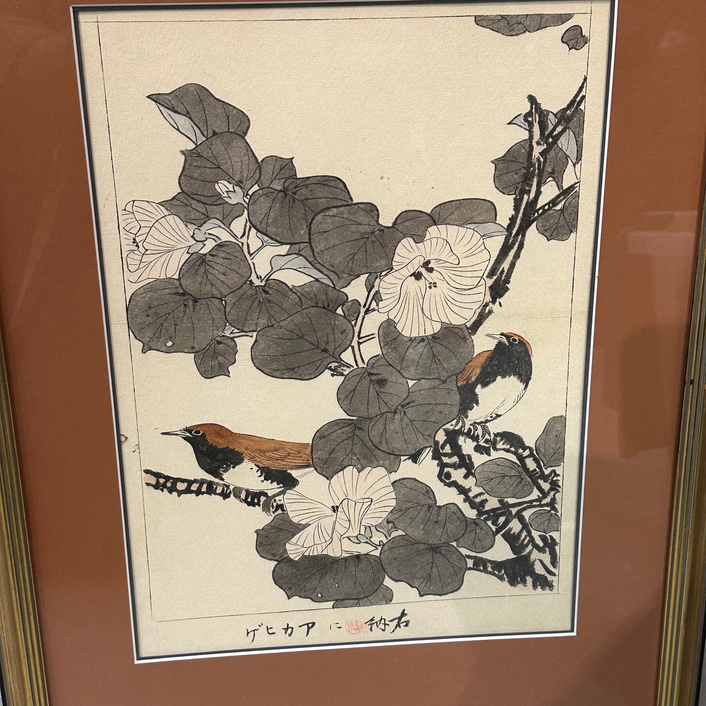 Original Japanese Woodblock Print: By Imao Keinen 1891 Robin & Hibiscus Framed 15x20"
