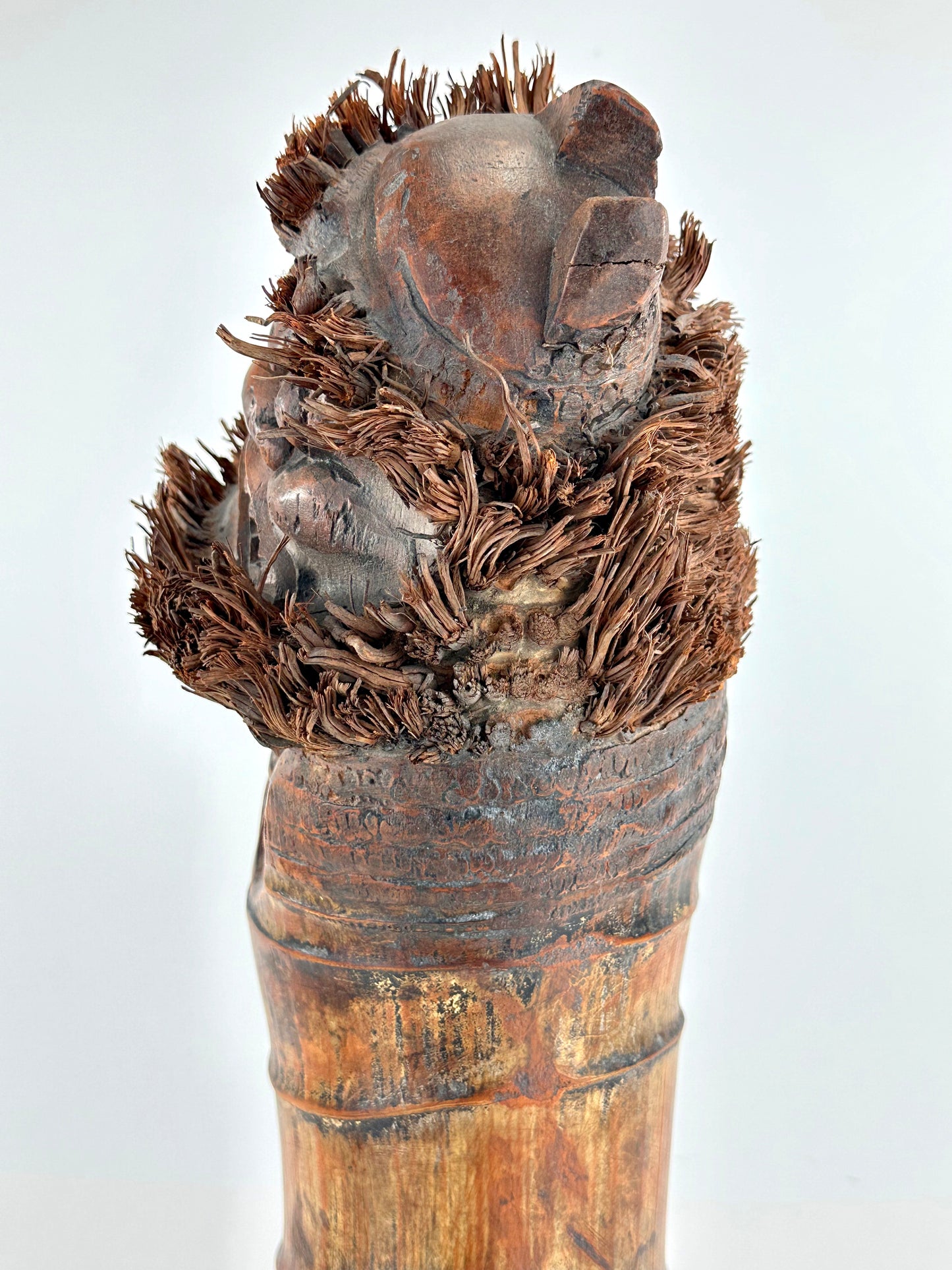 Antique Japanese Carved Bamboo Root Sculpture – Depicting Daruma (Bodhidharma) – 20" Tall LS#079