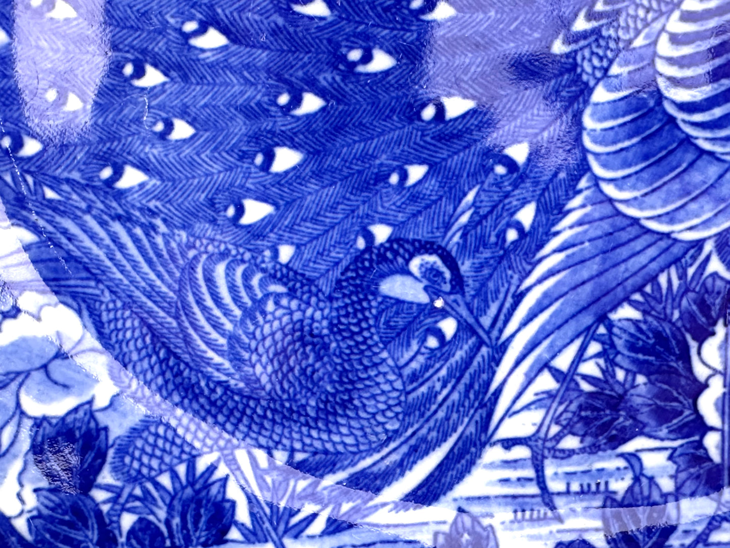 Antique Japanese Meiji Period Blue & Green Porcelain Peacock Plate 11"W