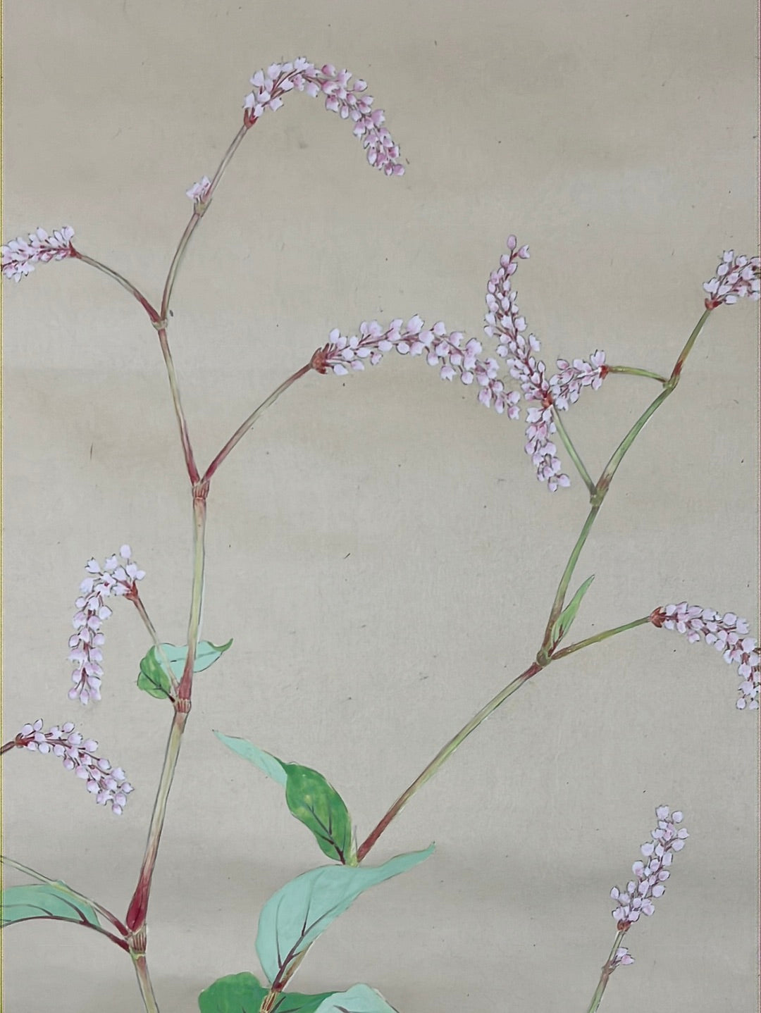 Japanese Scroll Hand Painted on Silk Showa Era Flowers 56”