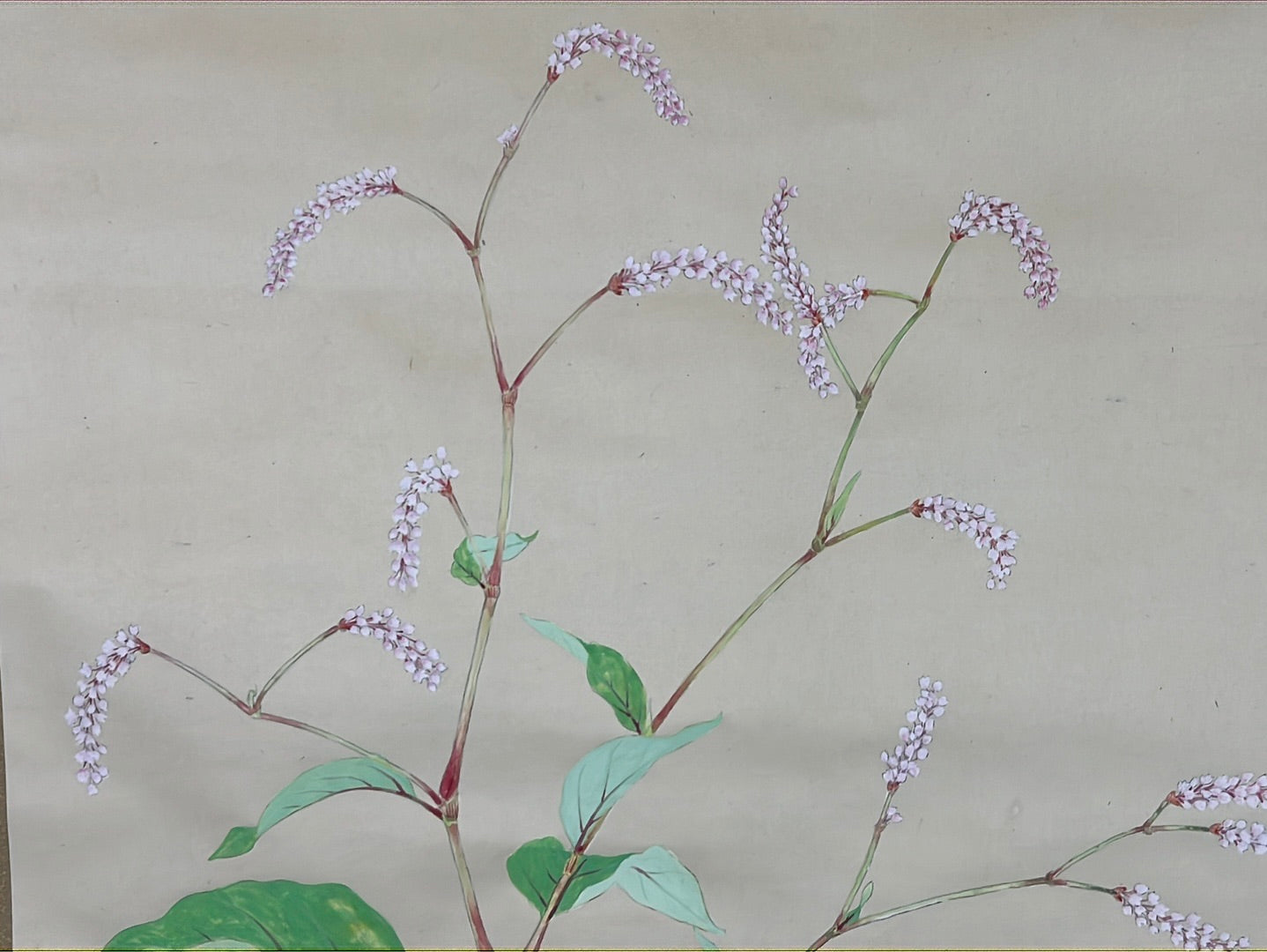 Japanese Scroll Hand Painted on Silk Showa Era Flowers 56”