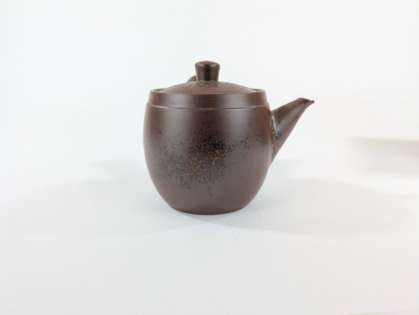 Japanese Tokoname Kyusu Teapot Side Handle Clay w/ Box Signed