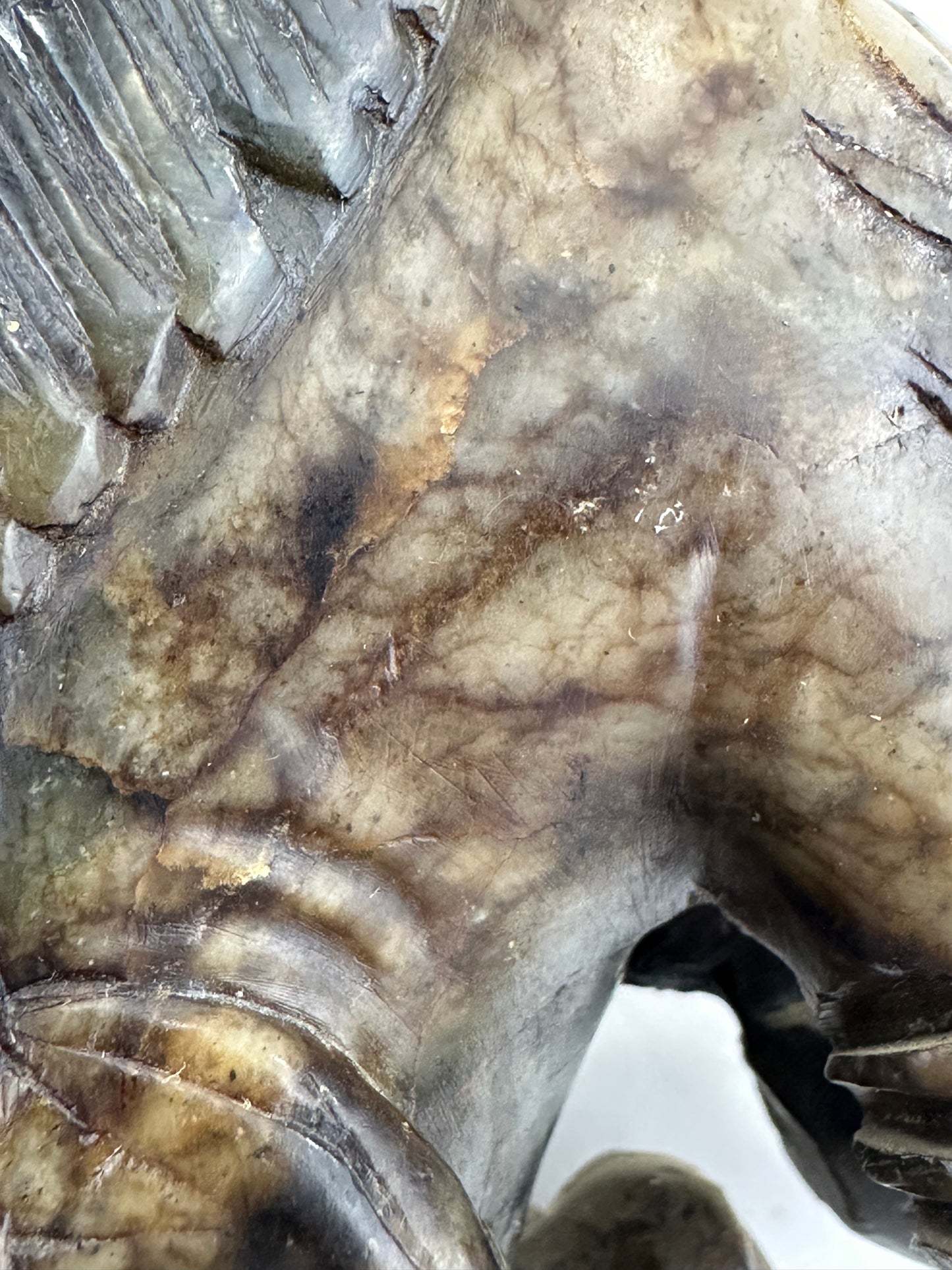 Pair of Hand-Carved Chinese Stone Foo Dogs (Shishi Guardian Lions) 20th C ~4"H