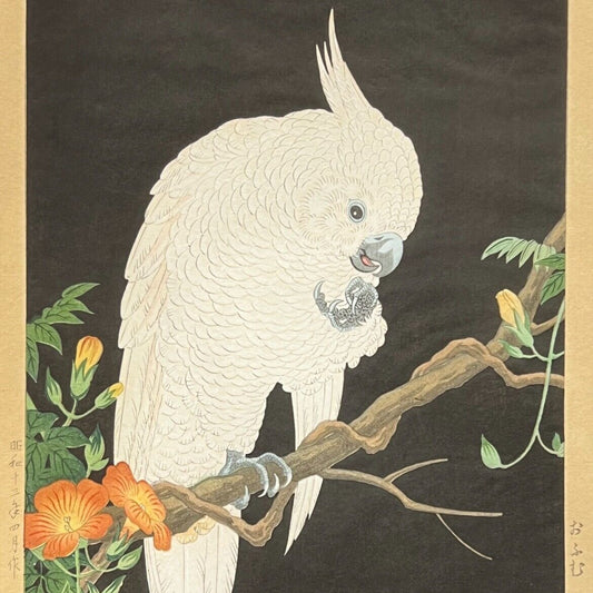 Nishimura Hodo Giclee Woodblock Print Cockatoo Oumo Ukiyo-E 1938  8"x11"