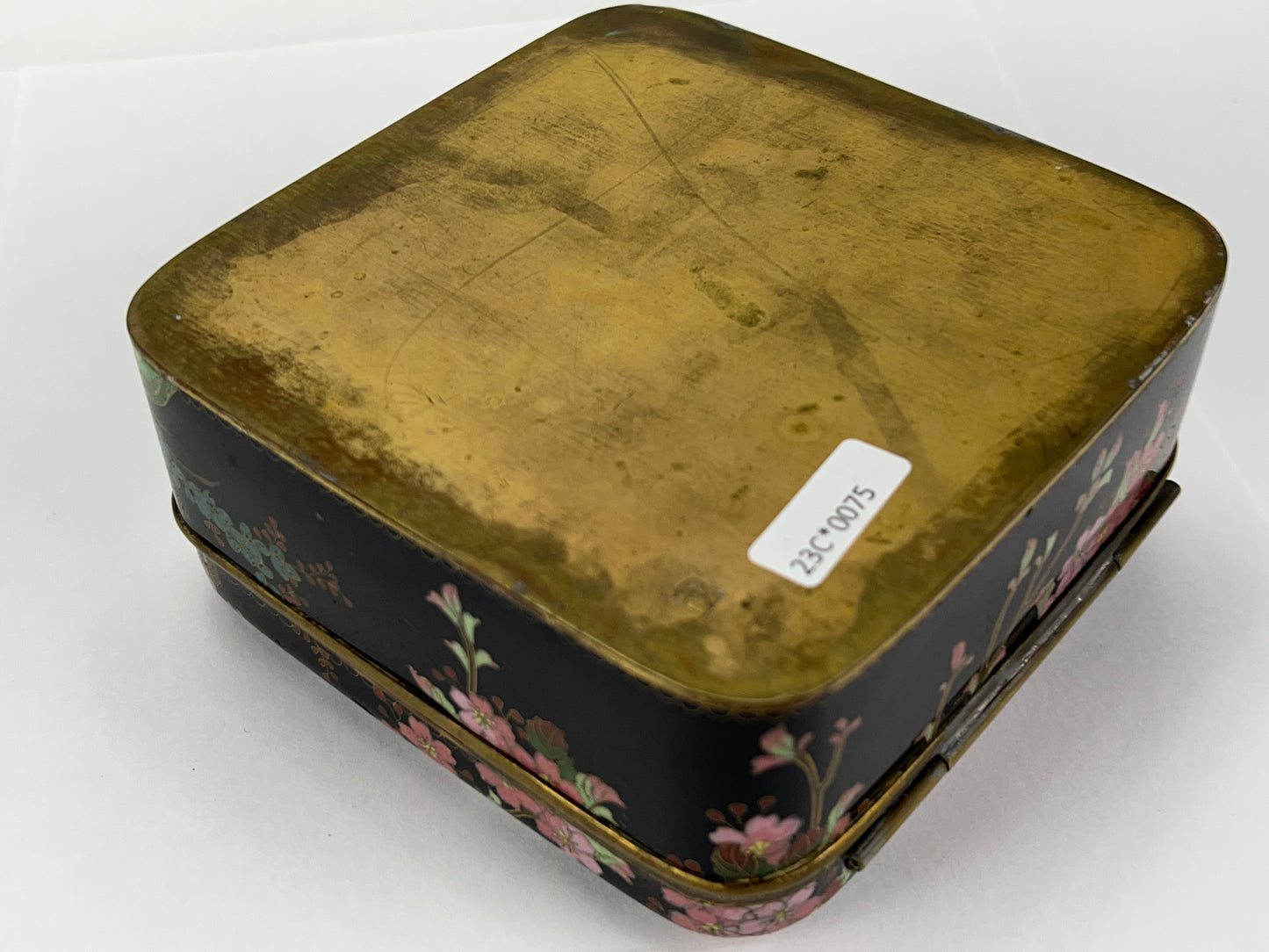 Antique Japanese Meiji Era (late 1800's) Signed Sano Cloisonné Hinged Box Flowers & Birds 5”
