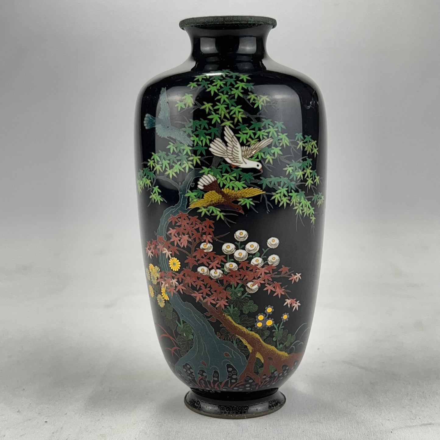 Antique Japanese Meiji Era (c1880) Cloisonné Black Vase Maple Tree & Birds 6”