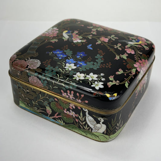 Antique Japanese Meiji Era (late 1800's) Signed Sano Cloisonné Hinged Box Flowers & Birds 5”