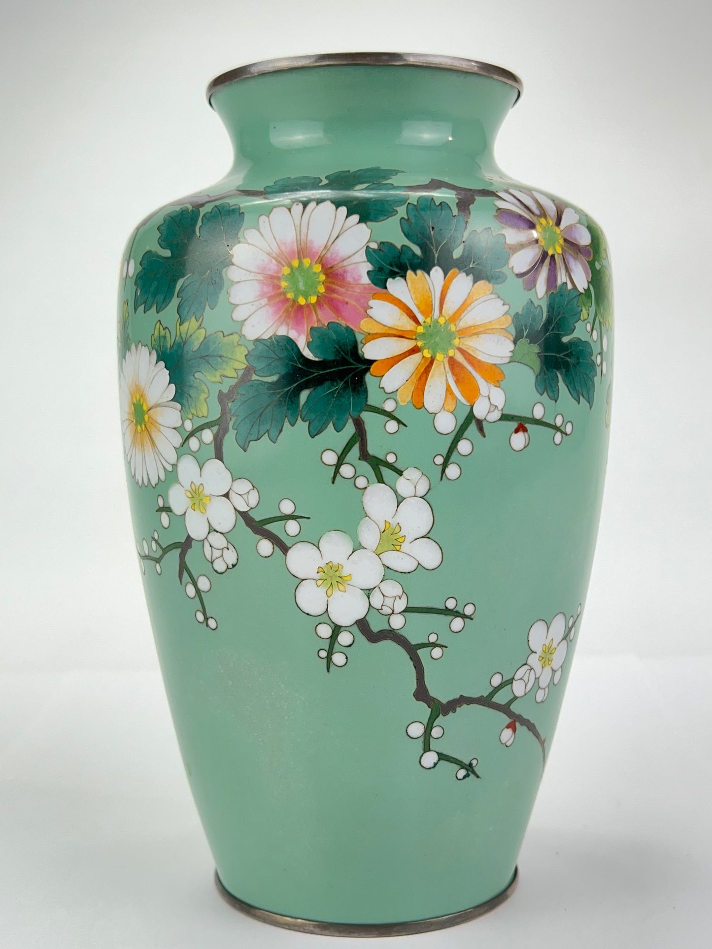 Antique Japanese Meiji Era (late 1800's) Cloisonné Vase Teal w/ Plum Blossoms 7”